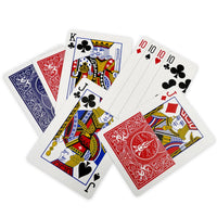 Packet Killer 45 Tricks With Special Bicycle Deck - Eagle Magic Store