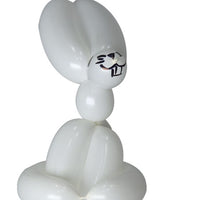 Ultimate Balloon Animals & More Training Course